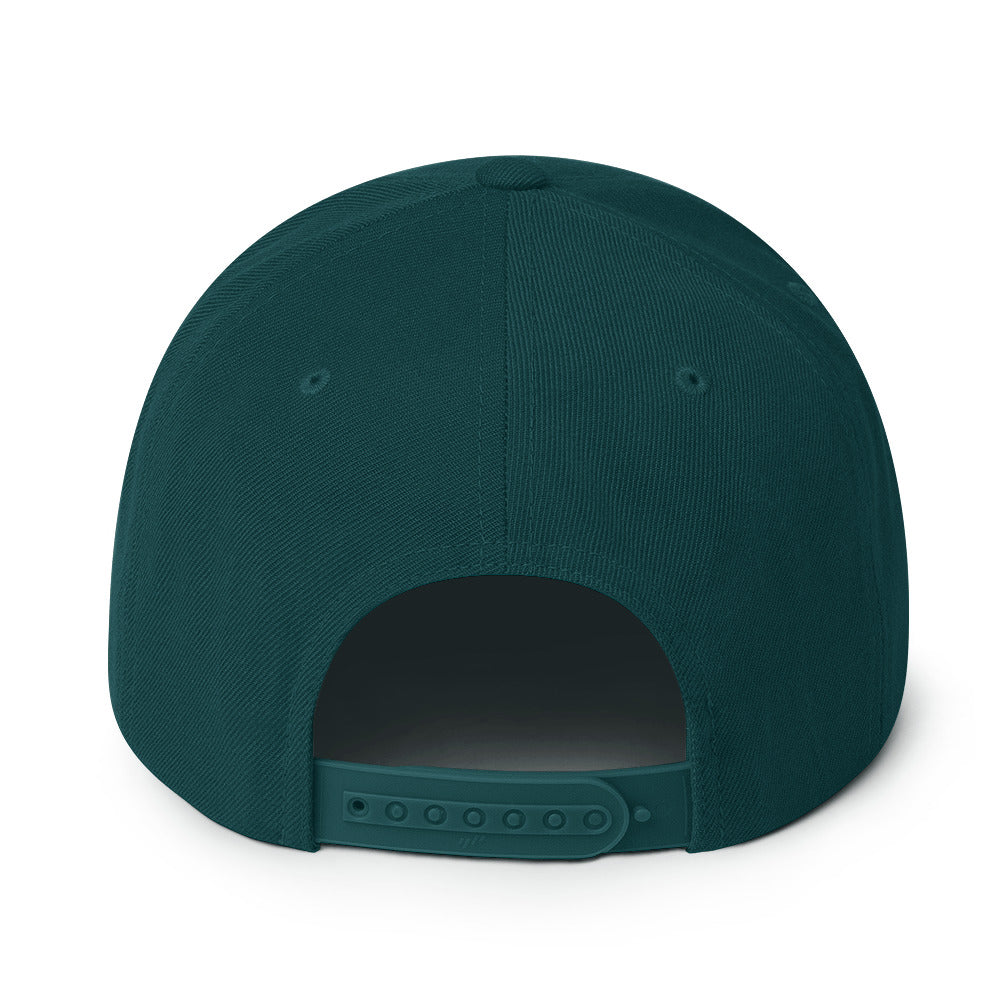The Arc Snapback Hat