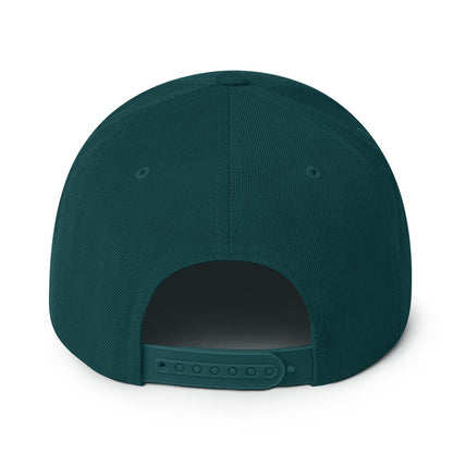 The Arc Snapback Hat